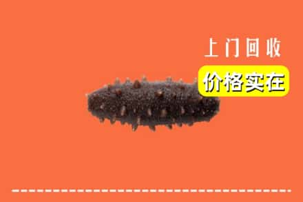 宁德蕉城区回收海参