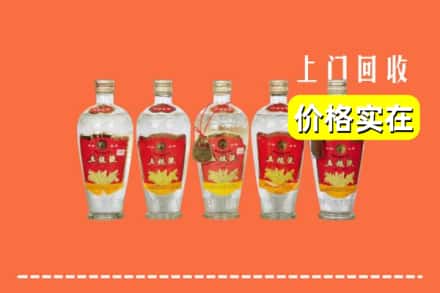 宁德蕉城区回收老五粮液